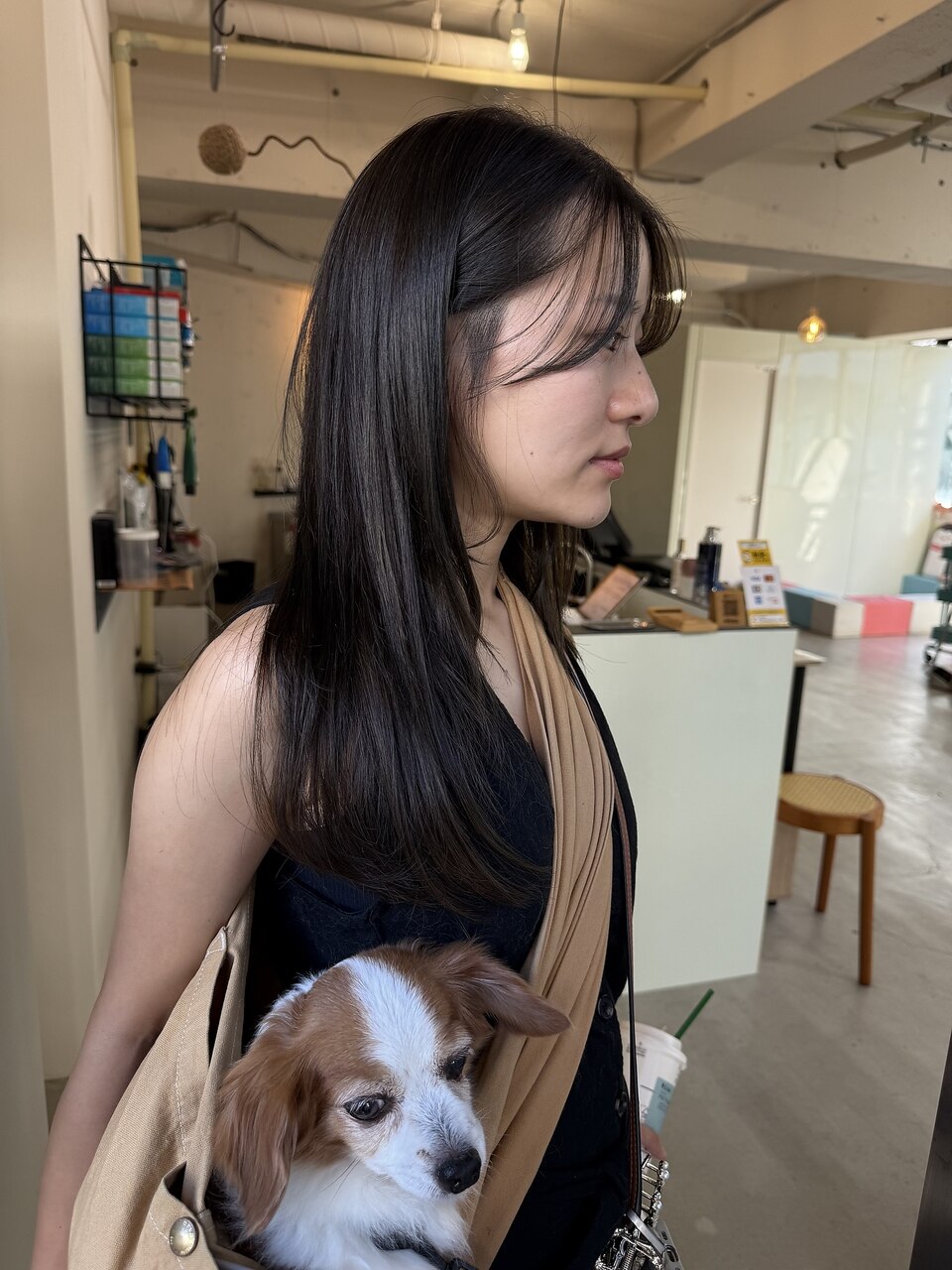 犬同伴可能グレージュロングレイヤー